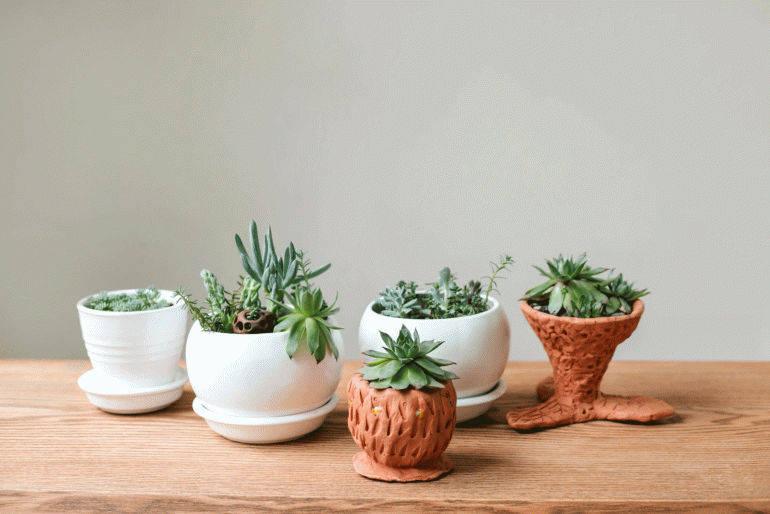 Wooden shelf for home plants against gray wall.