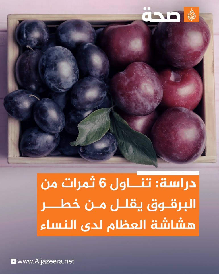 توصلت دراستان في جامعة ولاية بنسلفانيا الأميركية إلى أن تناول البرقوق (prunes) يمكن أن يساعد في منع هشاشة العظام لدى النساء، والحفاظ على قوتها.