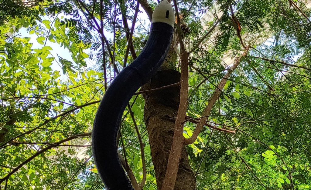 روبوت يتمدد جسمه حسب الطلب لدعم الإنقاذ وقت الكوارث