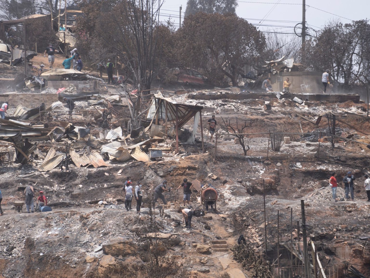 112 قتيلا في حرائق غابات تشيلي والرئيس يتحدث عن مأساة