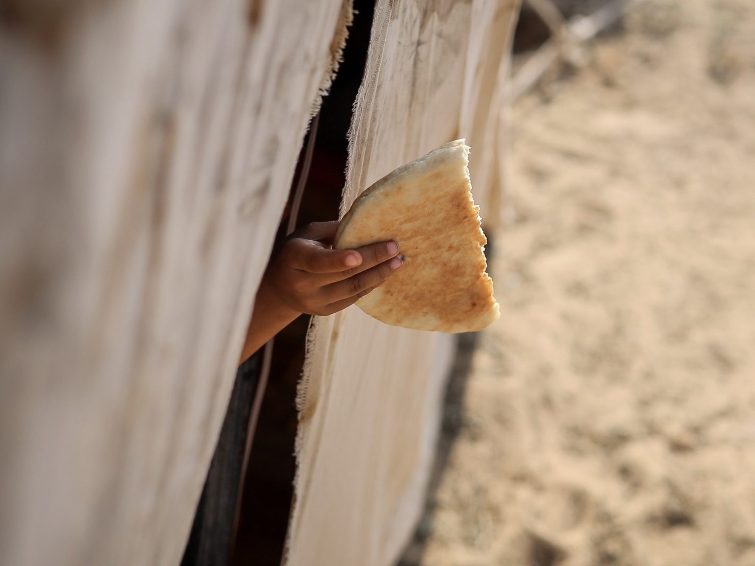 تركيع الأونروا وتجويع غزة.. جريمة مركبة رعاها رئيسان ودبرها نتنياهو