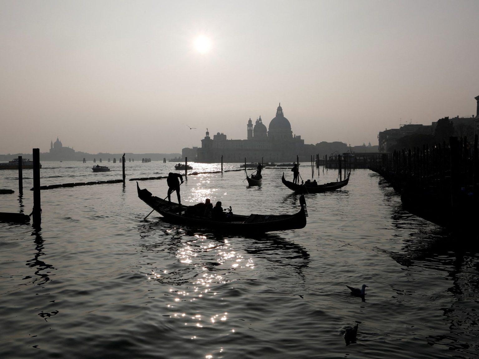 12 ألف فنان يطالبون بمنع إسرائيل من المشاركة بـ”بينالي البندقية”