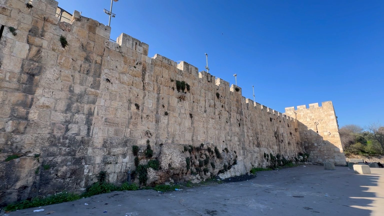 فيديو.. عائلة “عويس” تواجه محاولات الاستيلاء على أرضها بالقدس