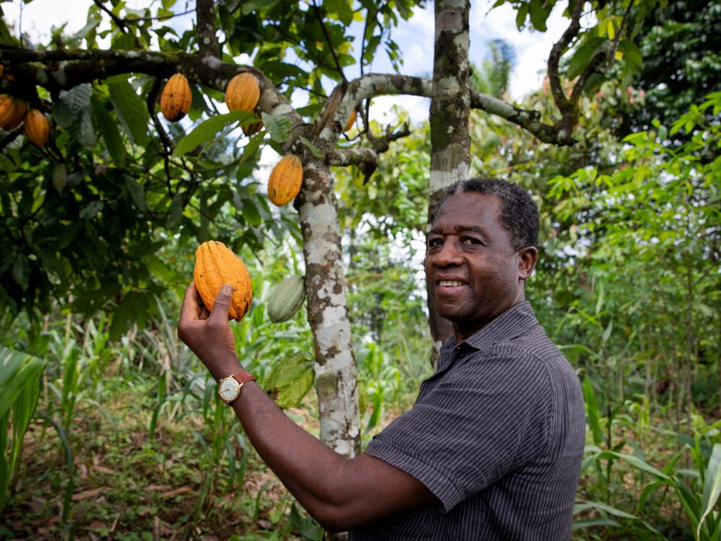 إمبراطوريات الكاكاو والقهوة والشاي تتلقى ضربة جديدة.. وهذه الأسباب