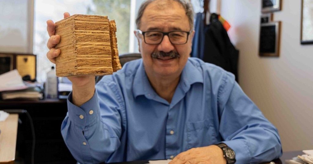 تجارب تبشر بعودة الخشب لعالم البناء.. بعد تطويعه لمقاومة الزلازل والأعاصير