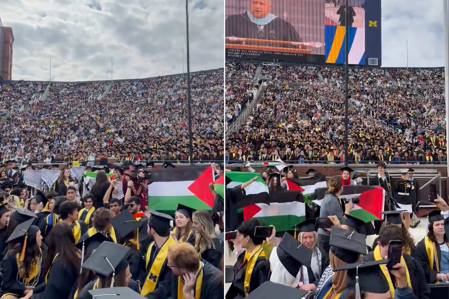 “كناري ميشن” موقع مؤيد لإسرائيل يستهدف الطلاب المناصرين لفلسطين