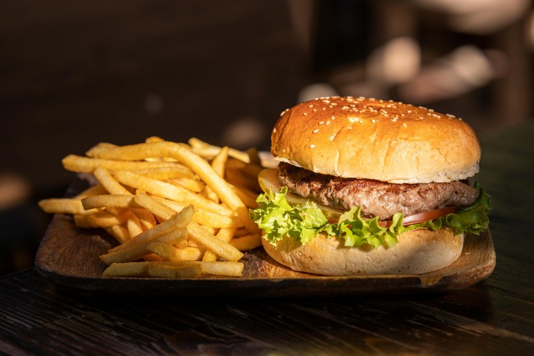 Plate of Fries and Burger