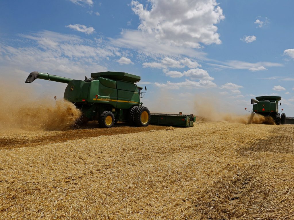 قرار تركي يدفع أسعار القمح في أوروبا إلى الأسفل