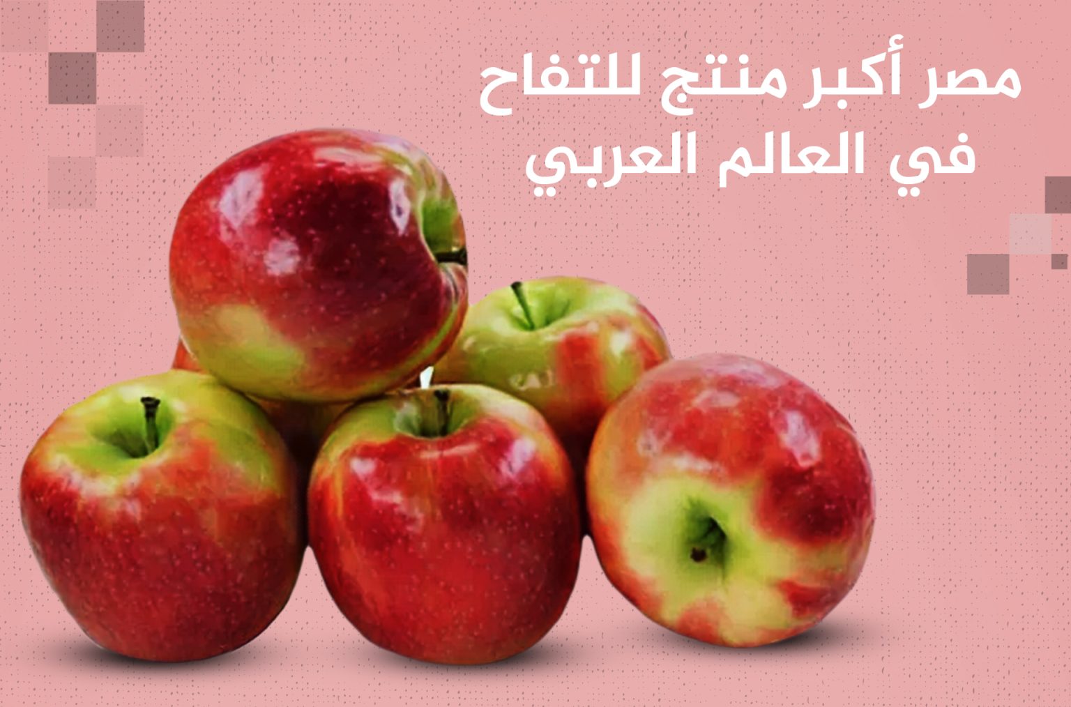 أكبر 10 دول منتجة للتفاح بالعالم.. مصر والمغرب في المقدمة عربيا