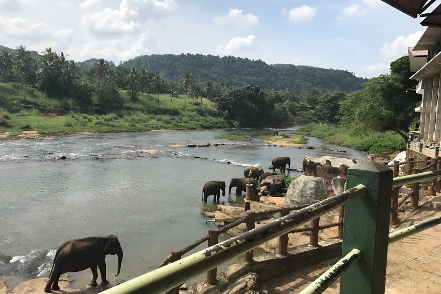 سحر الطبيعة وقلة التكاليف.. لماذا ننصح بزيارة سريلانكا؟