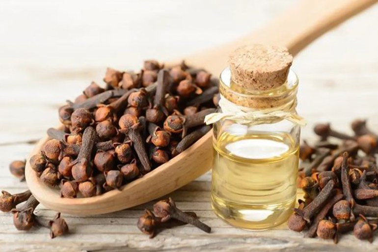 clove essential oil in the glass bottle, on the wooden board شترستوك