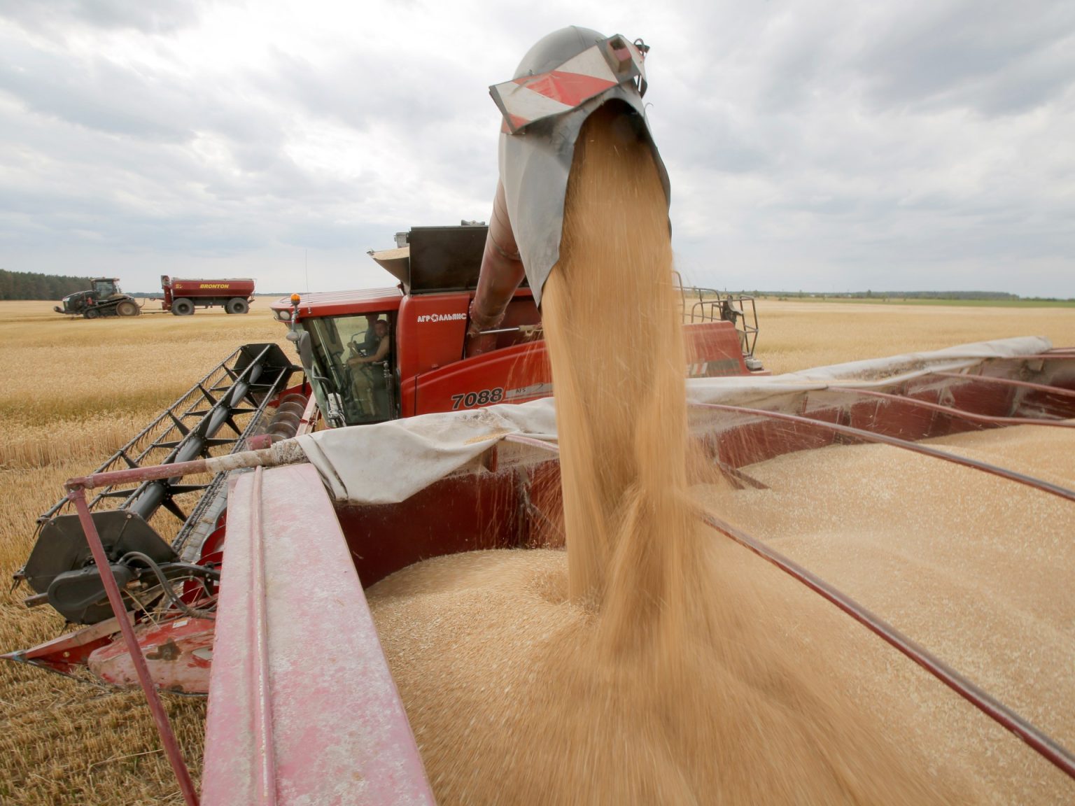 الفاو: أسعار الغذاء بلغت أعلى مستوى في 19 شهرا