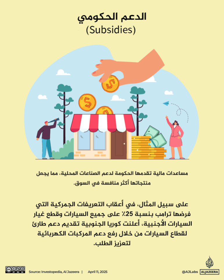 تصميم خاص - 4. الدعم الحكومي (Subsidies)