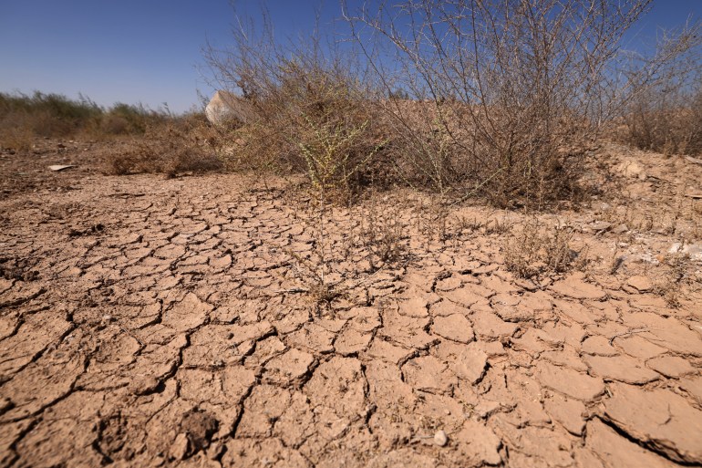 A picture shows arid land by the Habbaniyah lake affected by severe drought in Iraq's Anbar province, on August 29, 2024. Water levels at Habbaniyah have receded by several dozen metres after five consecutive years of drought which has ravaged parts of the country, keeping away the holidaymakers who would flock there during summer. (Photo by AHMAD AL-RUBAYE / AFP)