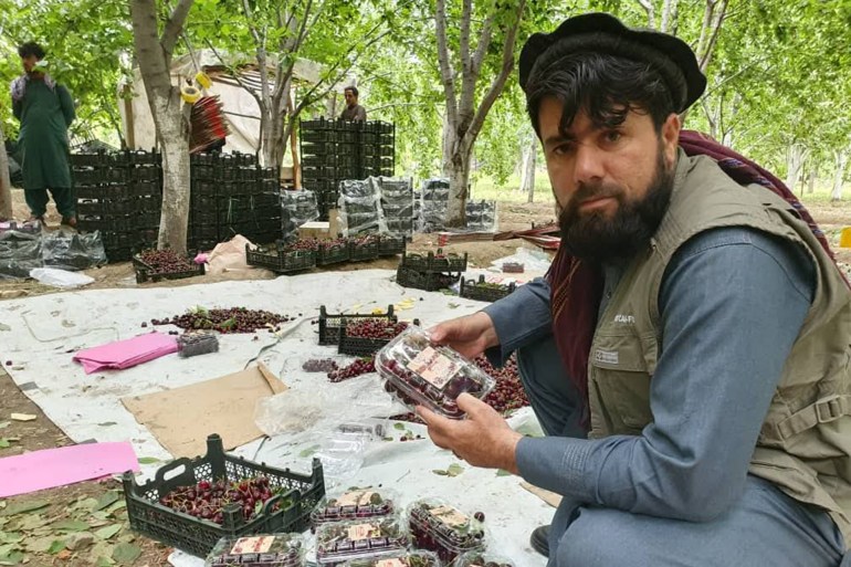 الواقع الزراعي في أفغانستان
