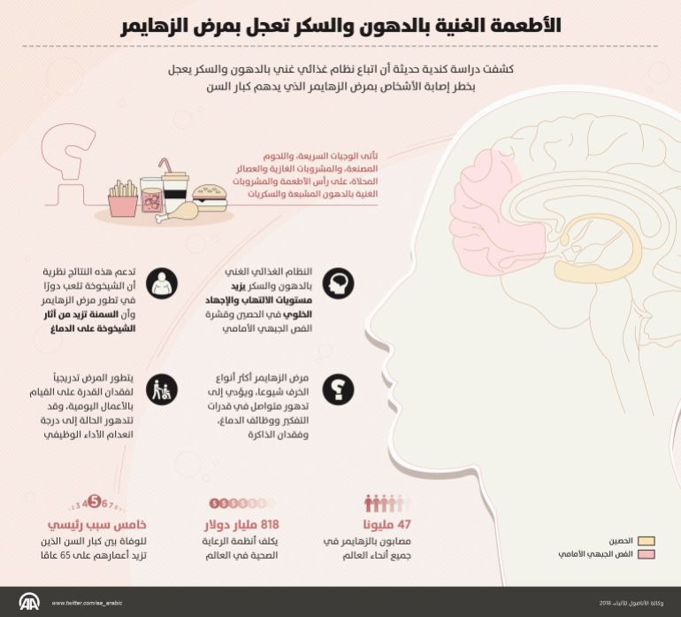 انفوغراف الأطعمة الغنية بالدهون والسكر تعجل بمرض الزهايمر إنفوغراف إنفوجراف انفوغراف انفوجراف ألزهايمر