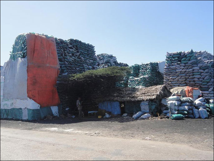 الحكومة الصومالية قطع الأشجار تهدد البيئة الصومالية ، إذا صدر القرار بهذا الشأن - جدل حول تصدير الفحم الصومالي - خاص الجزيرة.نت