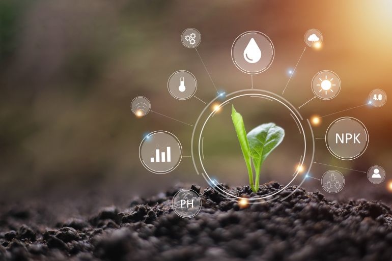 agricultural growth concept It has both the benefits of soil and plants. Including the use of artificial intelligence agriculture technology in 5G Industry 4.0 technology that needs to be improved.