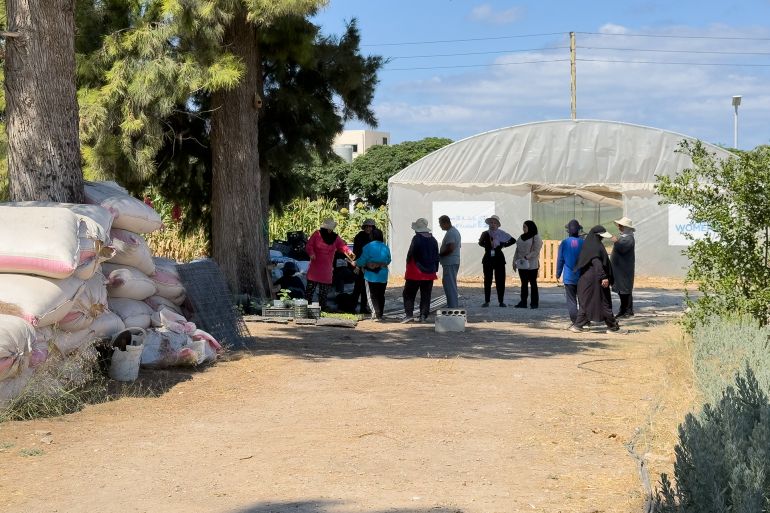 من النزوح إلى الزراعة.. حكايات نساء زرعن الحياة في ظلال الحرب