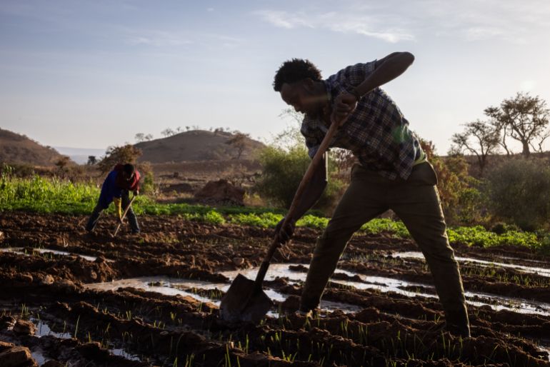 TIGRAY, ETHIOPIA - FEBRUARY 19: Farmers Desta Gebreyesus (R), 26, and Berhanu Gereyesus, 23, channel water pumped up to fields from a hole dug deep into a dried out river bed in the Yechila district on February 19, 2024 in Tigray Region, Ethiopia. Gebreyesus Gebre, 64, and his family sold three cows to buy the water pump tow months ago and are now successfully growing crops in otherwise parched land. More than 20 million Ethiopians are in need of food aid, according to estimates from the UN's Office for the Coordination of Humanitarian Affairs (UNOCHA). The situation is particularly acute in drought-stricken Tigray, in the country's north, which is still recovering from a two-year war between the Ethiopian government and allied forces on one side, and Tigrayan forces on the other, during which the region's economy was devastated and many were displaced. The combined effects of war and drought have raised the specter of famine, which the federal government in Addis Ababa denies is imminent, saying it is committed to providing aid. (Photo by Ed Ram/Getty Images)