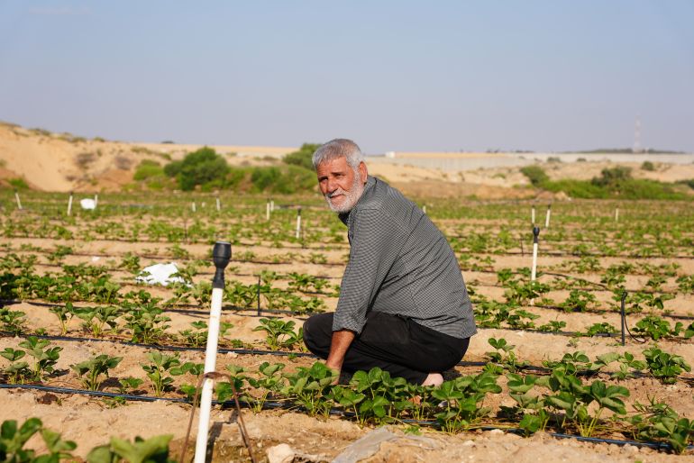 مزارع فلسطيني يعمل في أرضه على مقربة من السياج الحدودي في بيت لاهيا شمال قطاع غزة (الجزيرة نت)