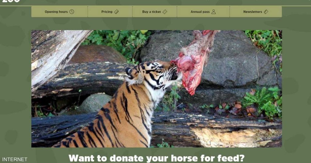حديقة حيوان تطلب حيوانات أليفة لإطعام الحيوانات المفترسة