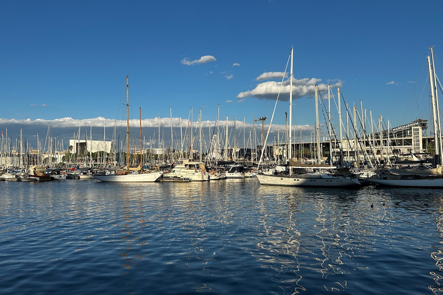 أسطول الصمود: التفاف شعبي إسباني كبير لكسر حصار غزة