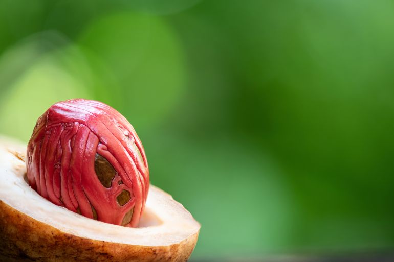Fresh nutmeg fruit and red mace on natural background.
