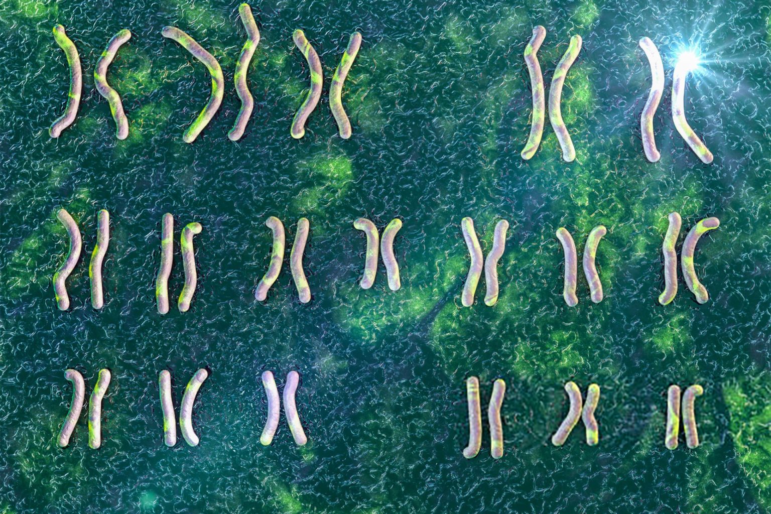 الذكاء الاصطناعي يكشف عن دور “صانع المفاتيح” الجينية في جسمك | علوم