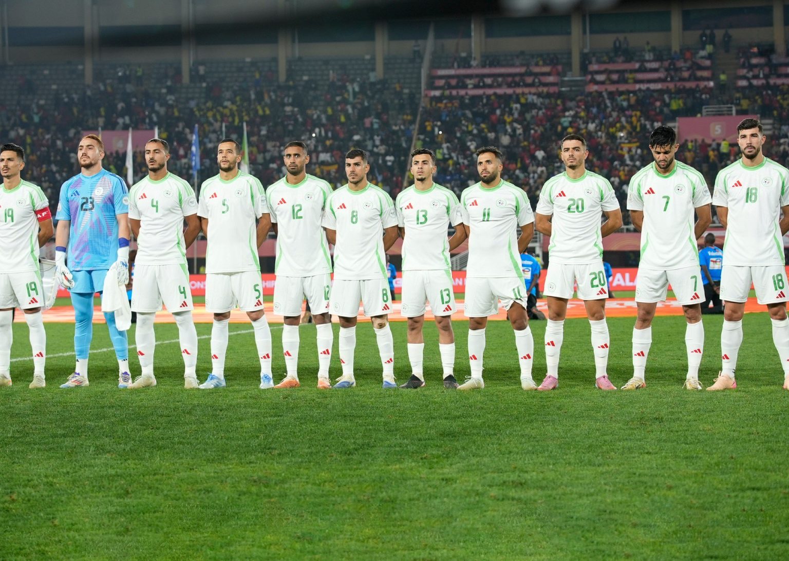 الجزائر ضد غينيا في كأس أفريقيا للمحليين.. الموعد والتشكيلة والقنوات الناقلة