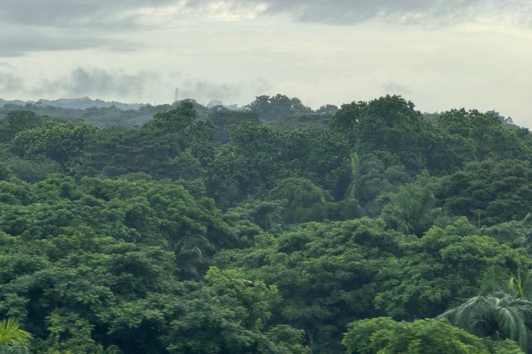 الغابات الاستوائية الغنية بالحياة البرية تحيط جانبي قناة بنما على طول مسارها من المحيط الهادي إلى المحيط الأطلنطي