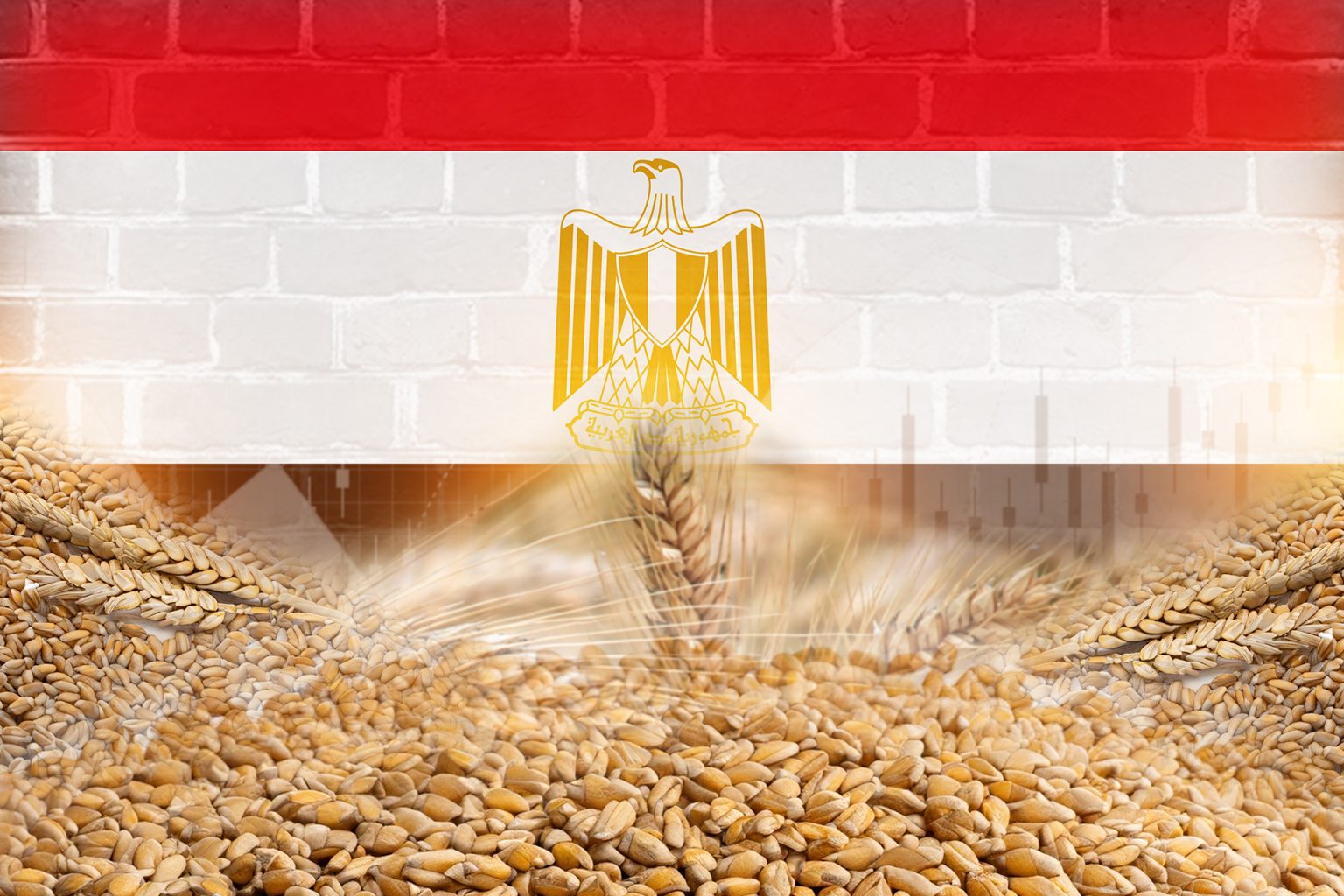 مصر تحقق قفزات بصادرات الطحين رغم أنها من كبار مستوردي القمح