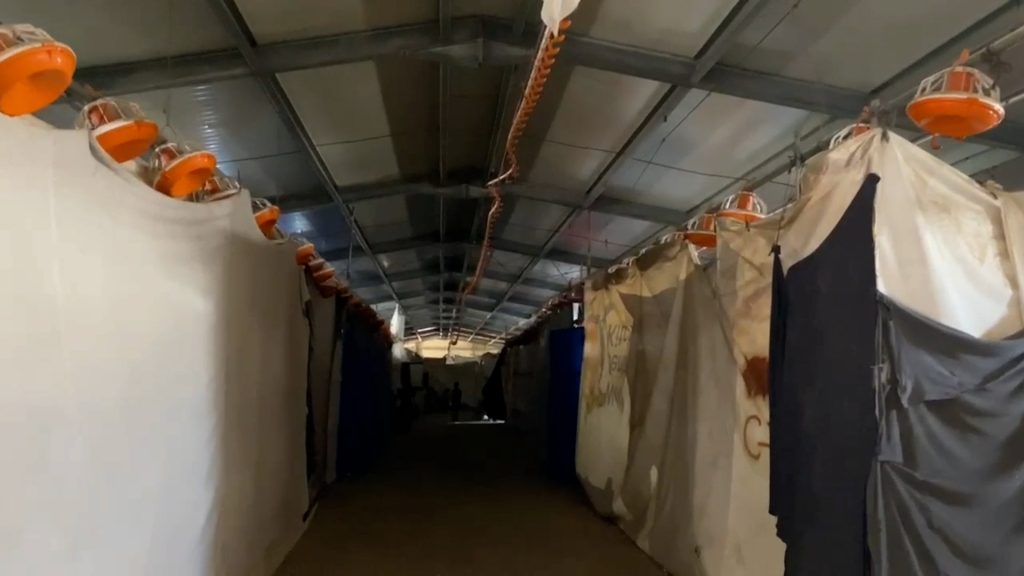 شاهد.. كيف يقيم الغزيون في ظل قرارات التهجير المستمرة