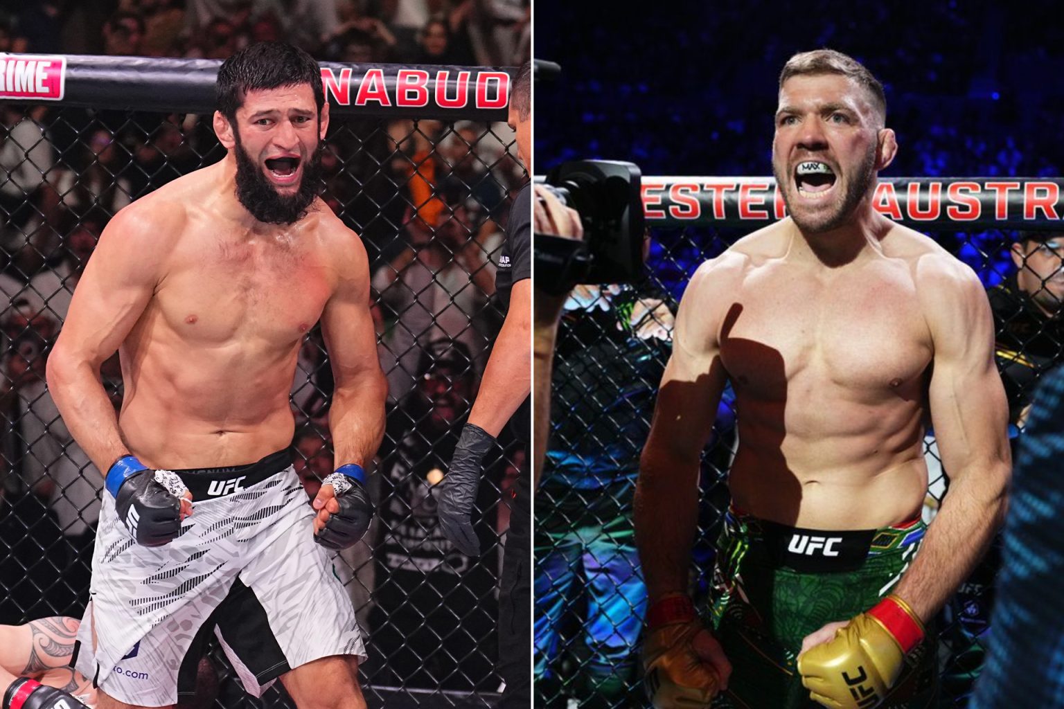 موعد نزال حمزة شيماييف ضد دو بليسيس في فنون القتال المختلطة والقنوات الناقلة