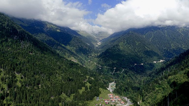 صور ريزا ترحال