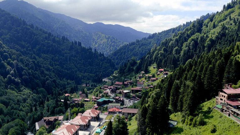 صور ريزا ترحال