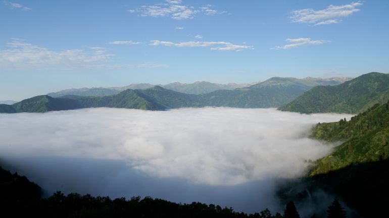 صور ريزا ترحال