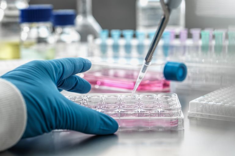 Scientist pipetting medical samples into microplate in laboratory