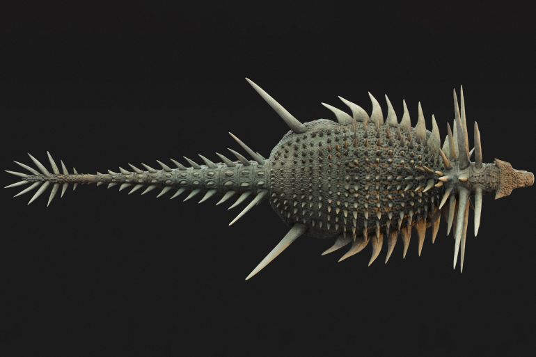 An artistic reconstruction shows an overhead view of the ankylosaur Spicomellus afer, based on fossils found in the Atlas Mountains of Morocco, shows the animal with the most extensive armor of any known dinosaur. Spicomellus lived about 165 million years ago during the Jurassic Period. The image was released on August 27, 2025. Matt Dempsey/Handout via REUTERS. THIS IMAGE HAS BEEN SUPPLIED BY A THIRD PARTY. NO RESALES. NO ARCHIVES.