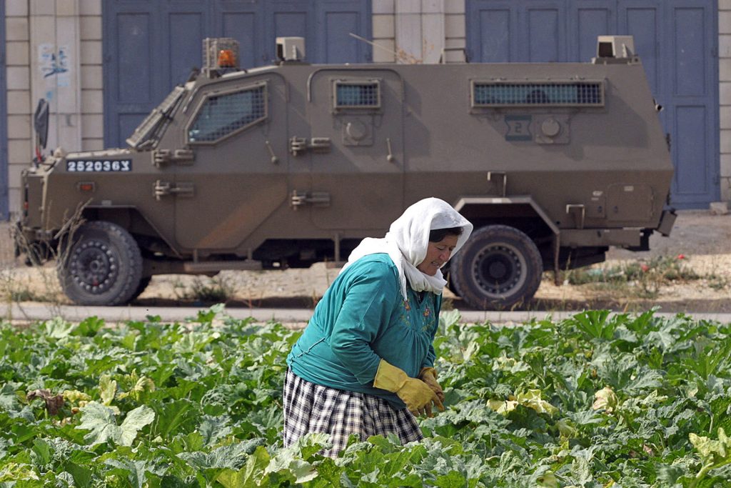 فلسطينيات في الضفة يقاومن بالزراعة زحف الاستيطان