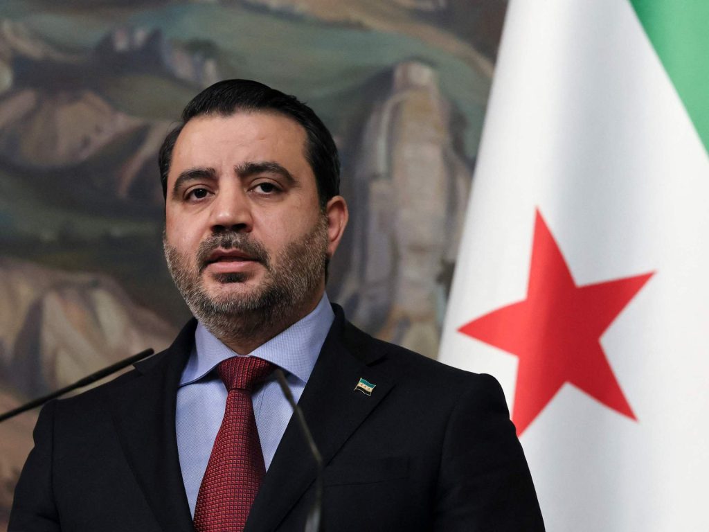 الشيباني: أي وجود أجنبي في سوريا يجب أن يخدم مصالح الشعب