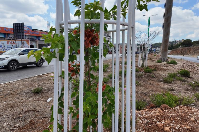 المواطن علي محمد حسين قام بزراعة عشرات أشجار الزينة والورود على الطريق العام وداخل أحياء بلدة كفررمان (الجزيرة)