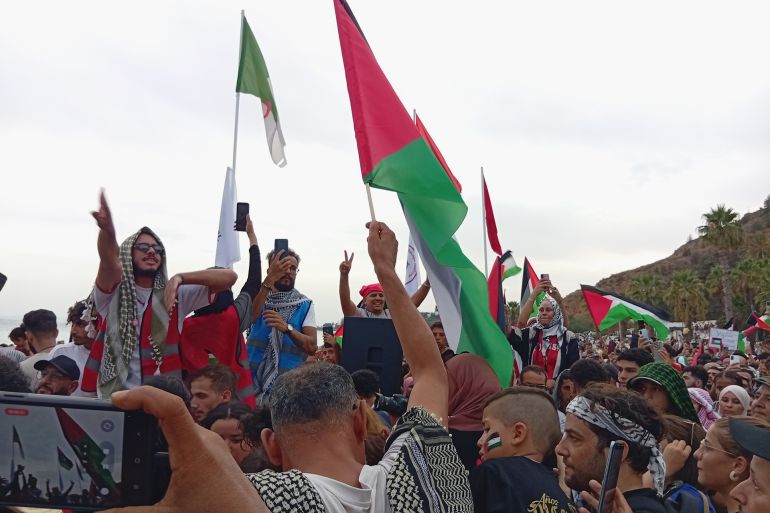 صورة للجزيرة نت من ميناء سيدي بوسعيد